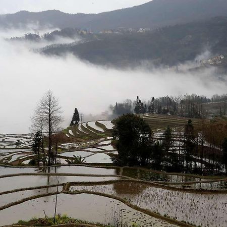 Green Hostel & Sunny Guesthouse Yuanyang  Dış mekan fotoğraf