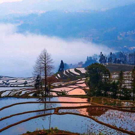 Green Hostel & Sunny Guesthouse Yuanyang  Dış mekan fotoğraf