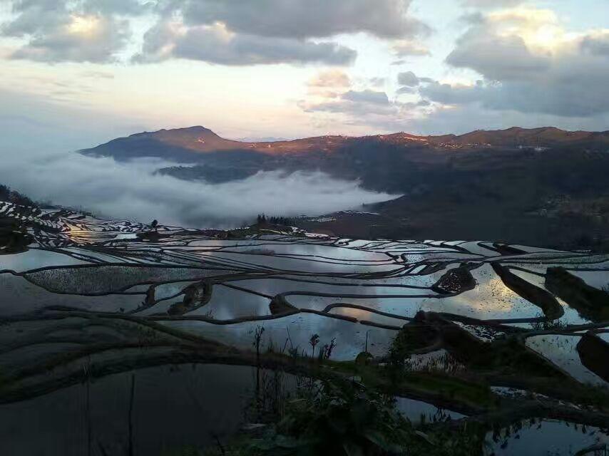 Green Hostel & Sunny Guesthouse Yuanyang  Dış mekan fotoğraf