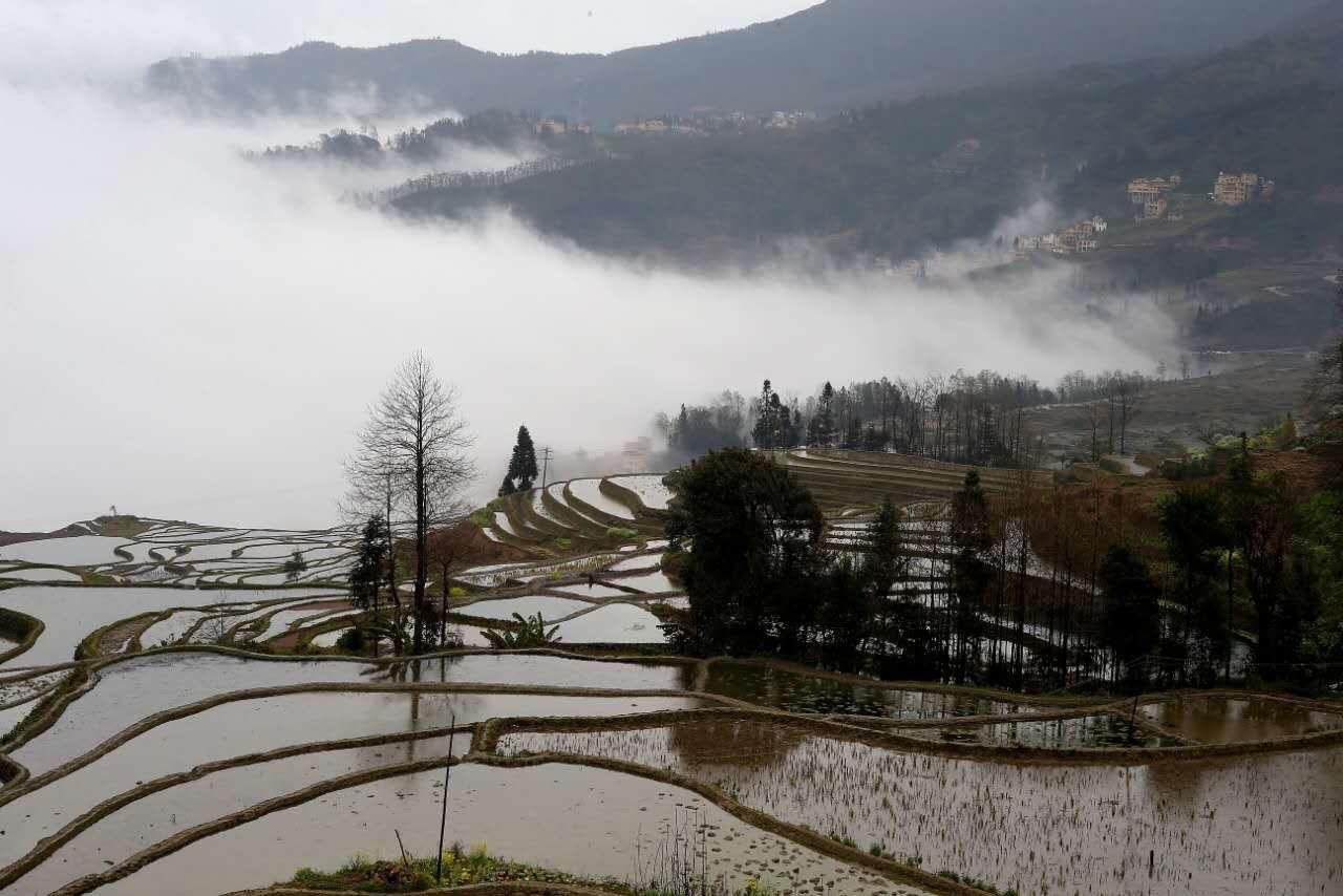 Green Hostel & Sunny Guesthouse Yuanyang  Dış mekan fotoğraf