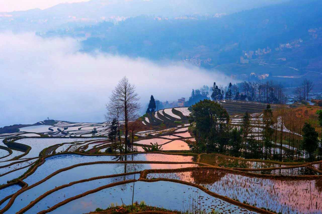 Green Hostel & Sunny Guesthouse Yuanyang  Dış mekan fotoğraf